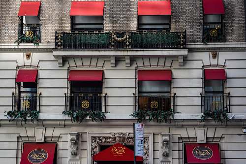 tender focus photography of building windows new york